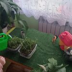 1dbee8f9 a34d 455a 86c0 370091eb3059