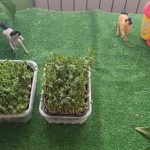 3476b9a9 dfa9 4eb6 9f58 e369276a5be0