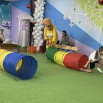 404e22fc e39b 444f b789 65a749c9d8e2