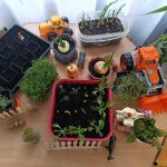 743c3e18 a7ac 41d6 9f81 c890da976467