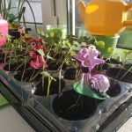 8ec0203e abd7 4a29 95b3 2c5beb1e4e91