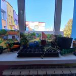 f92e239a eb9a 4905 a7b4 934f31248f91